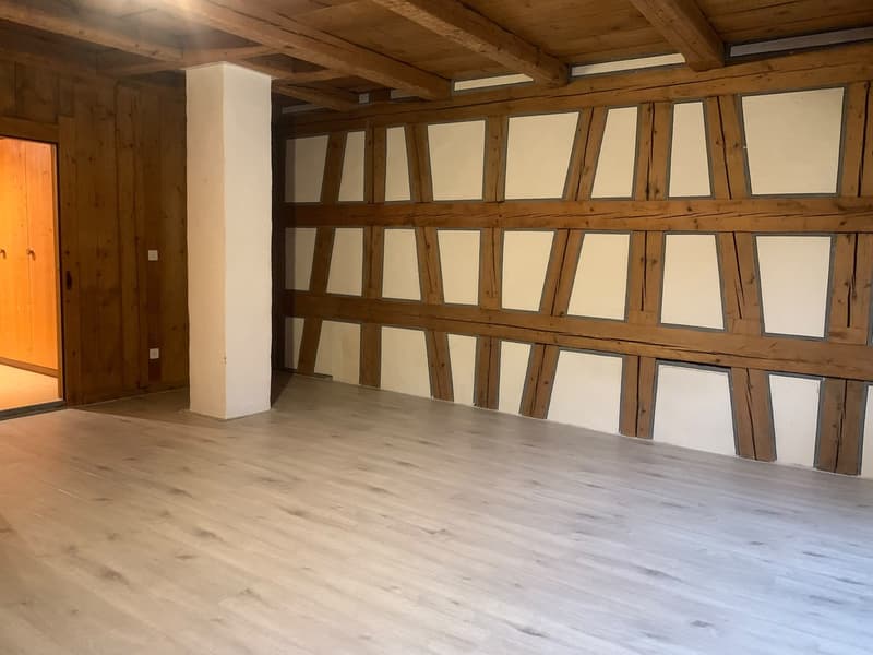 Grosszügige Raum in Charmante Hause (6)