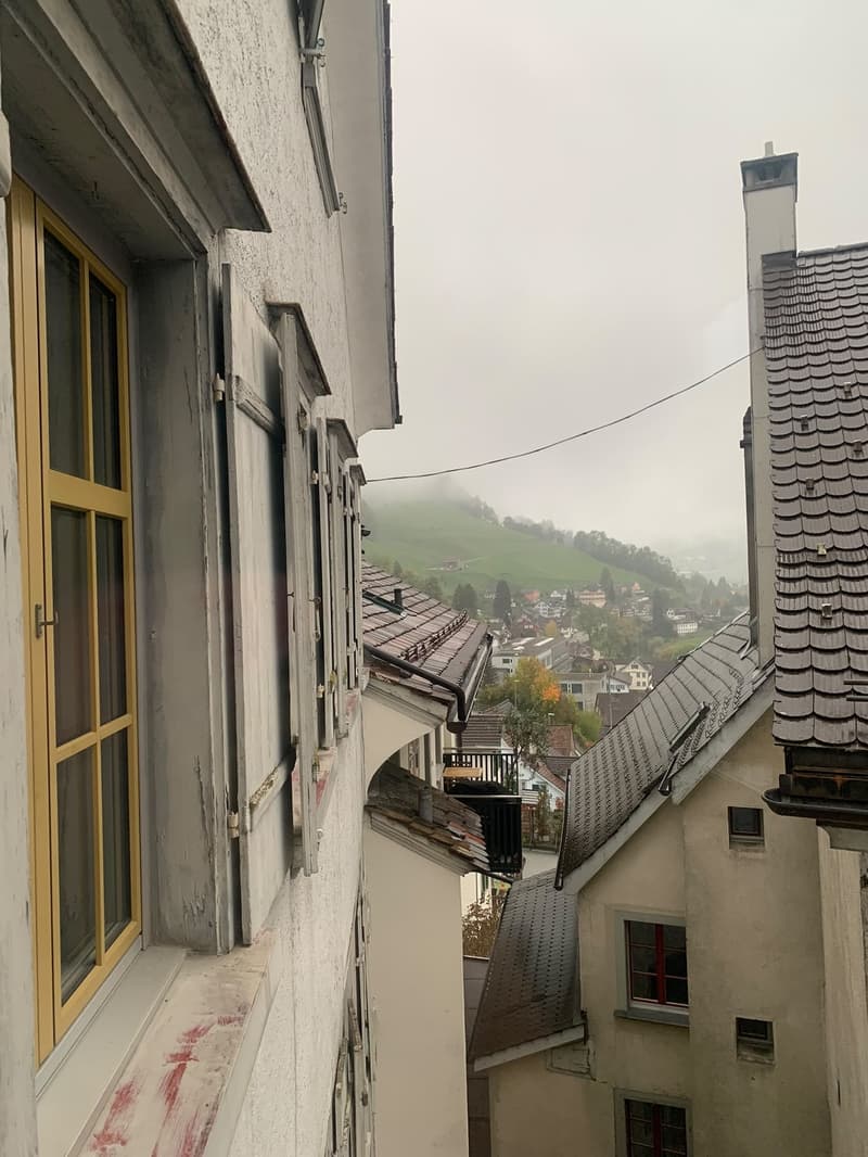 Grosszügige Raum in Charmante Hause (12)