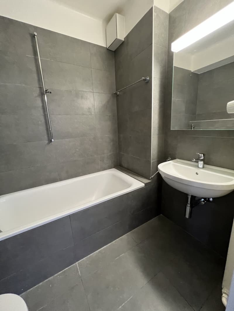 3.5-room apartment with large terrace in central Morges (2)