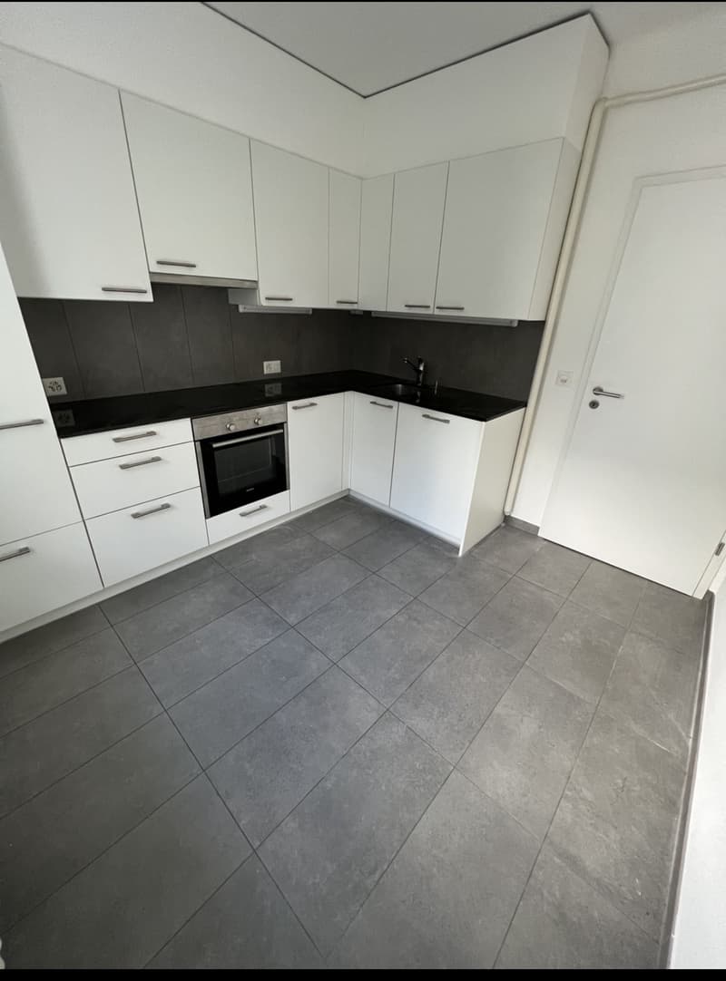 3.5-room apartment with large terrace in central Morges (3)