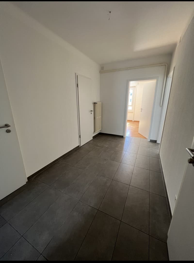 3.5-room apartment with large terrace in central Morges (5)