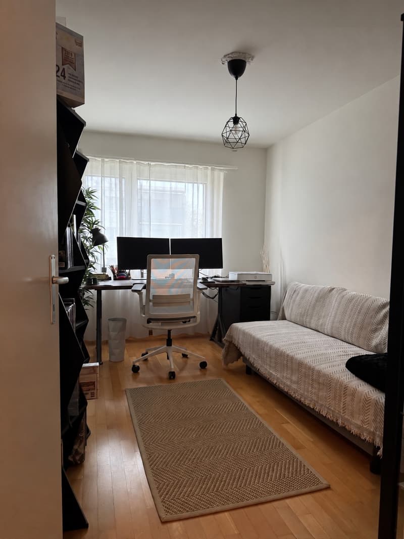 3.5-Zimmer-Wohnung mit Balkon und Garagenparkplatz in Rudolfstetten (5)