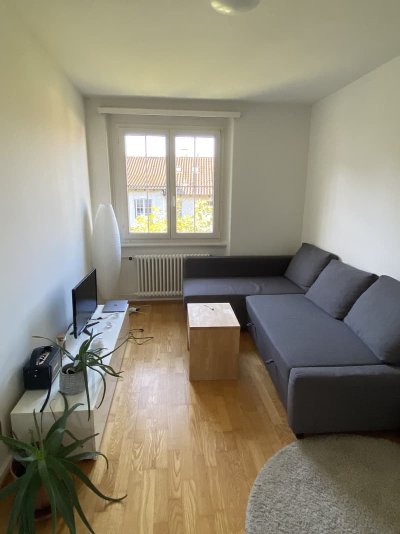 Schöne 3-Zimmer-Wohnung (ca. 80m2, 1.Monat als WG) in Spitalnähe (2)