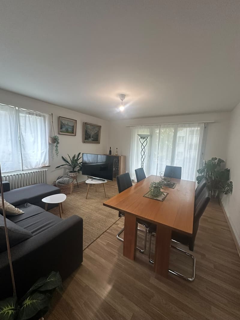 Helles WG-Zimmer in Zürich-Schwamendingen befristet bis 28.02.2027 (3)