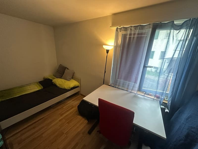 Helles WG-Zimmer in Zürich-Schwamendingen befristet bis 28.02.2027 (1)