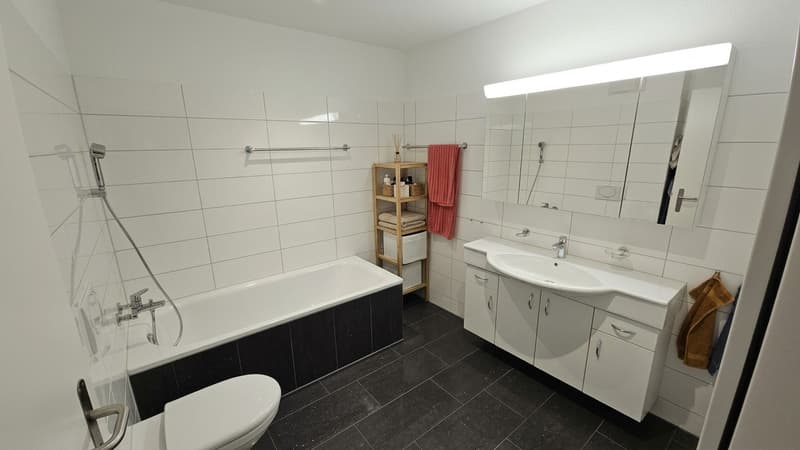 Familienfreundliche 4,5 Zimmerwohnung (8)