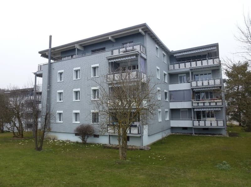 3 Zimmerwohnung in Effretikon mieten (4)