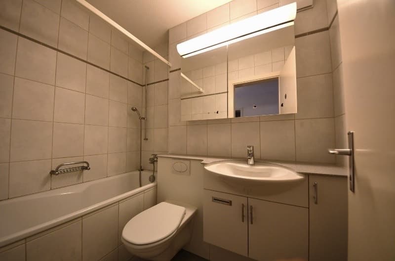 3 Zimmerwohnung in Effretikon mieten (1)