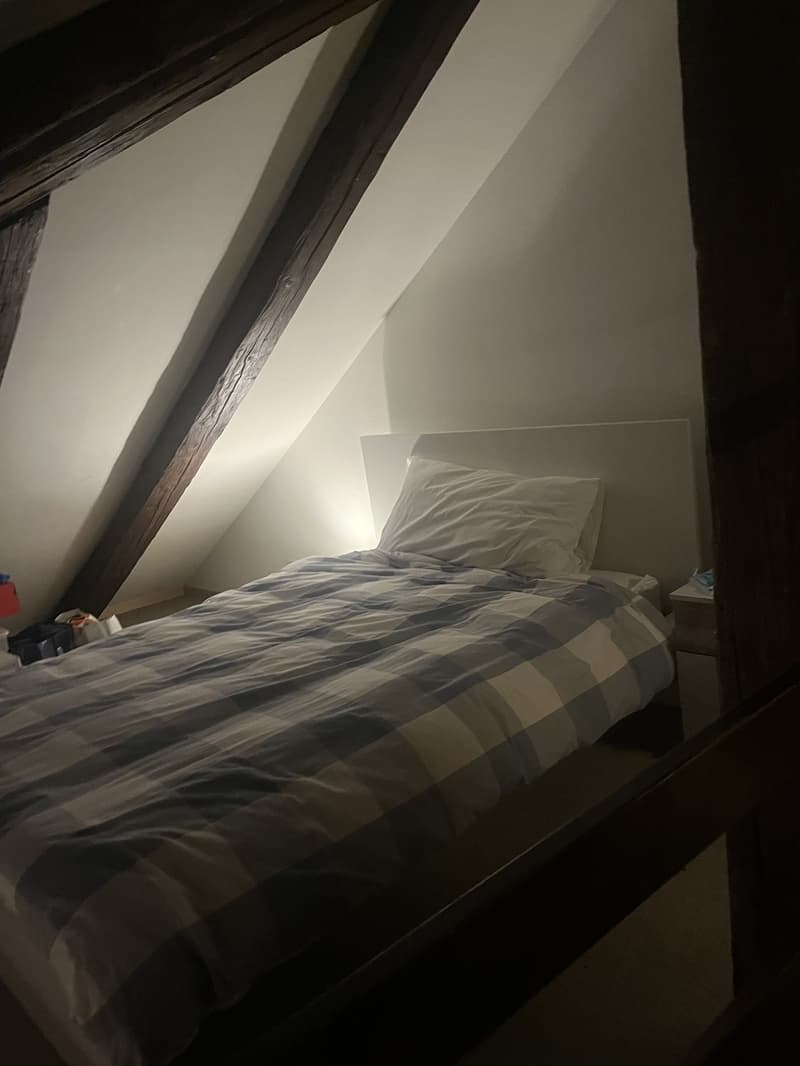 Beautiful two bedroom Loft apartment (5)