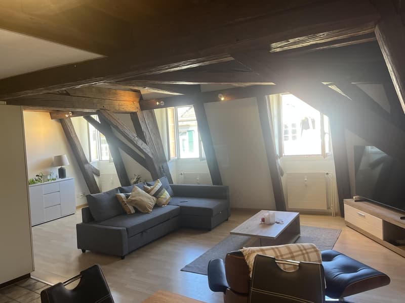 Beautiful two bedroom Loft apartment (4)