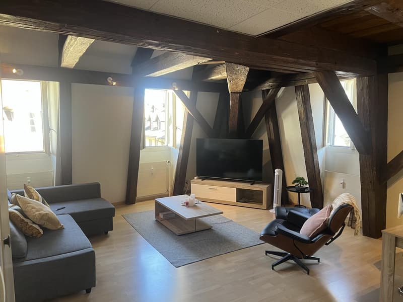 Beautiful two bedroom Loft apartment (1)