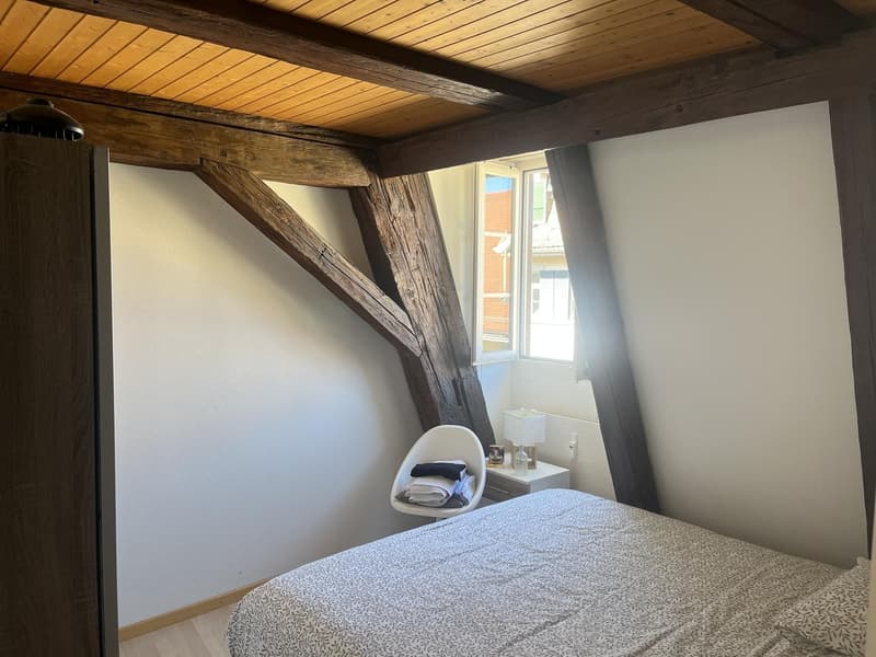 Beautiful two bedroom Loft apartment (3)