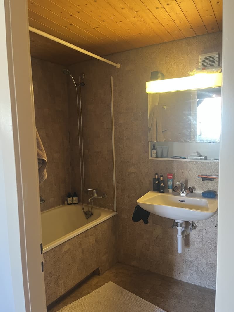 Beautiful two bedroom Loft apartment (6)