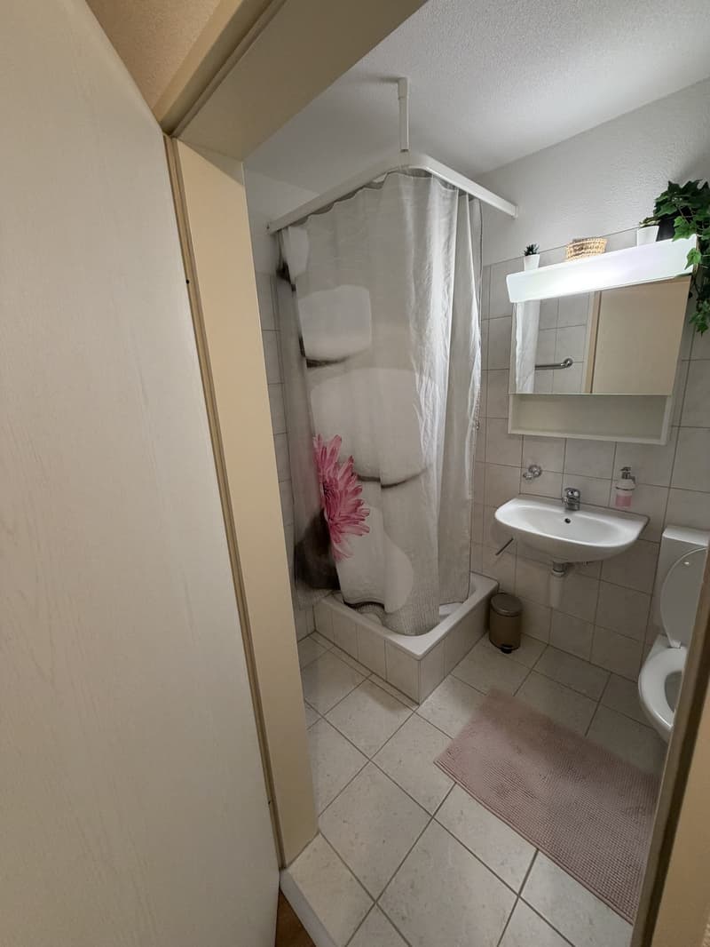 4 ½ Zimmer-Wohnung, 8408 Winterthur (4)