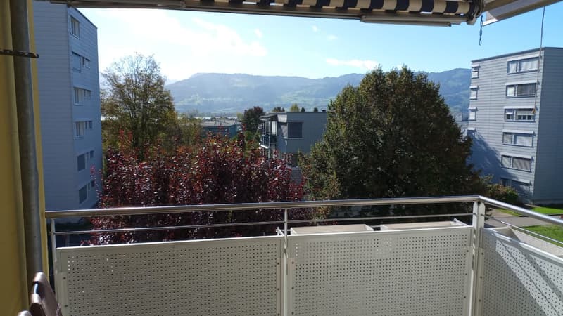 3.5-Zimmer-Wohnung, 83 m², schöne Aussicht Nachmieter gesucht (8)