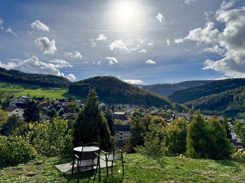 Sonnige 2-Zimmer-Wohnung (50 m²) mit traumhafter Aussicht in Oberdorf BL (10)