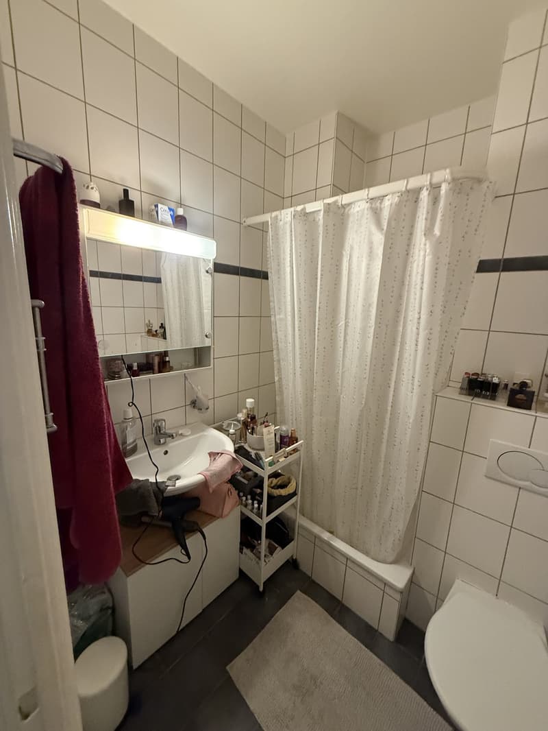 Charmant appartement de 2 pièces avec balcon au cur de Genève (9)