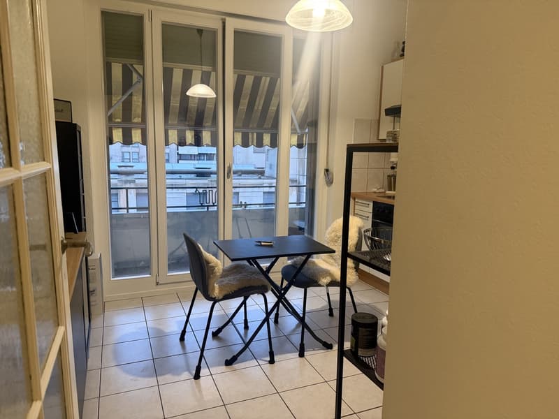 Charmant appartement de 2 pièces avec balcon au cur de Genève (3)