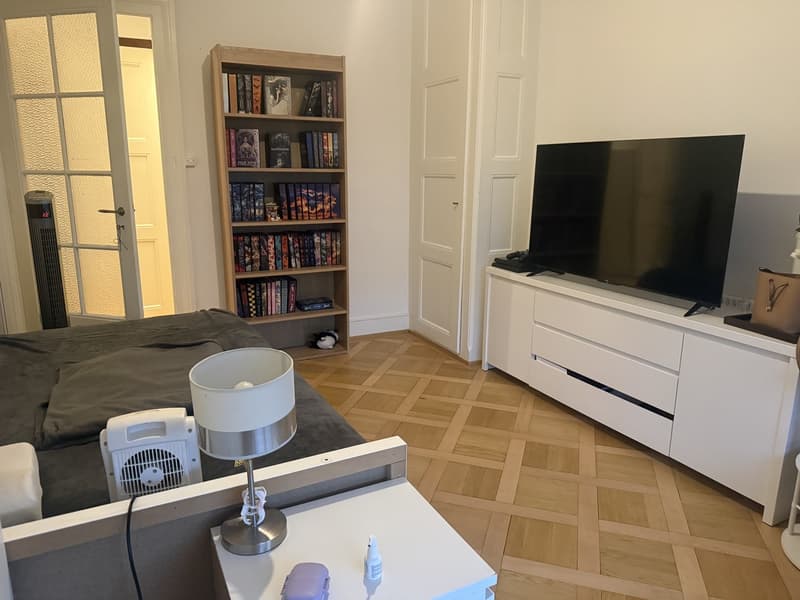 Charmant appartement de 2 pièces avec balcon au cur de Genève (1)