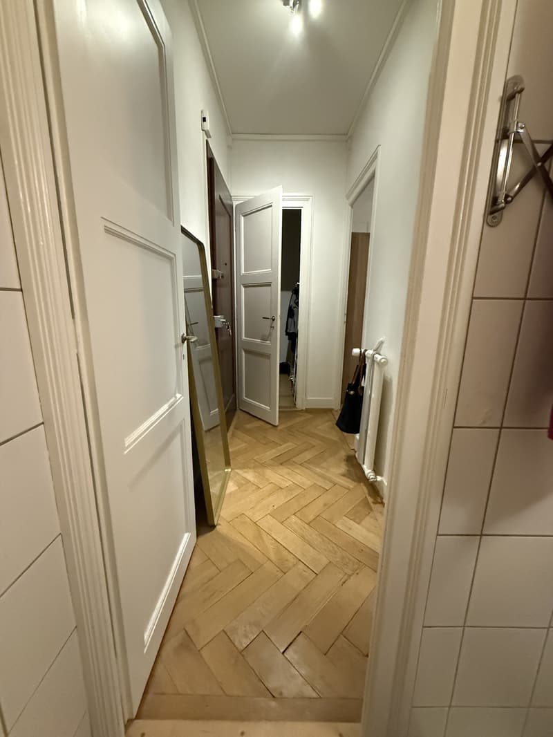 Charmant appartement de 2 pièces avec balcon au cur de Genève (5)
