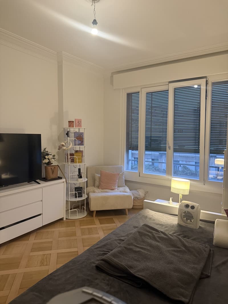 Charmant appartement de 2 pièces avec balcon au cur de Genève (4)