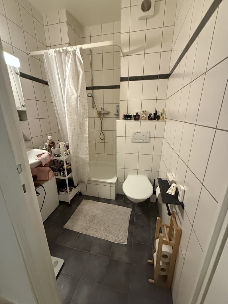 Charmant appartement de 2 pièces avec balcon au cur de Genève (8)