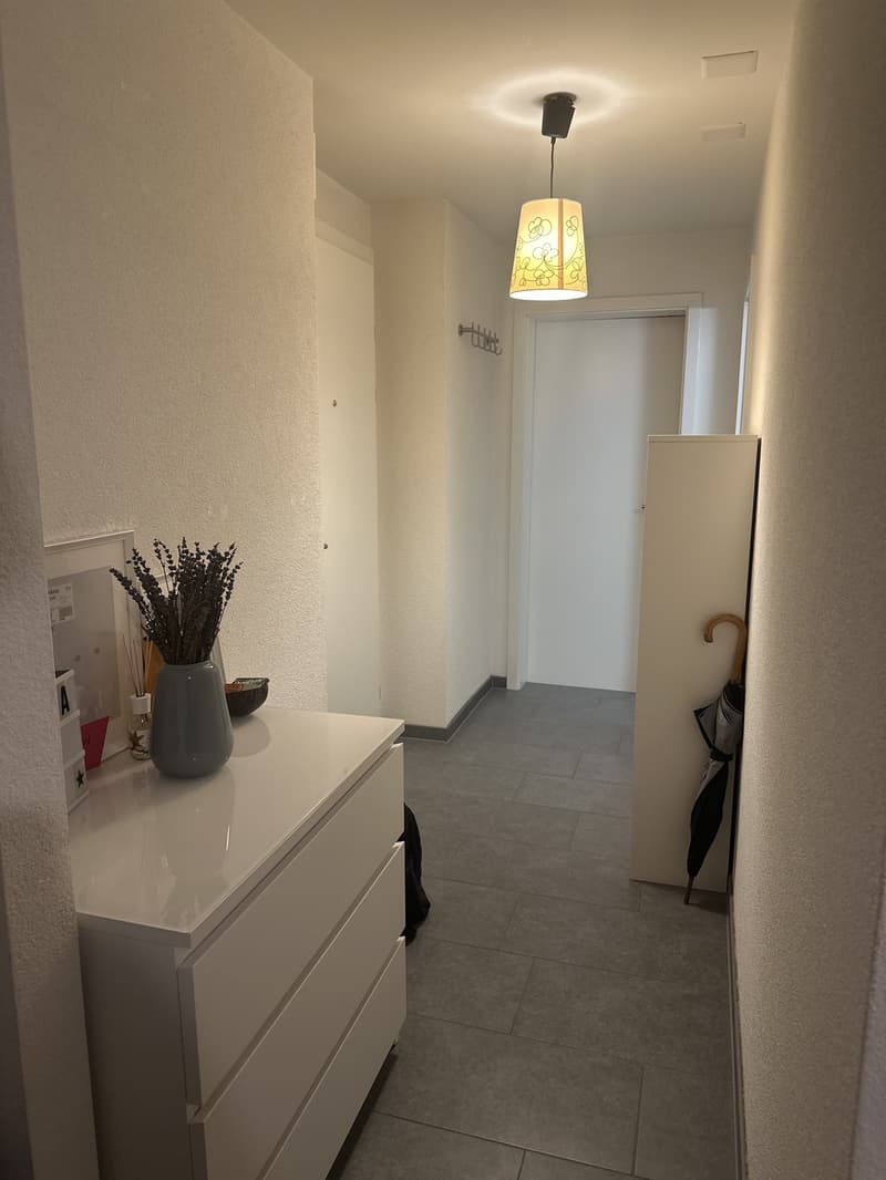 Apartment in triemli (4)