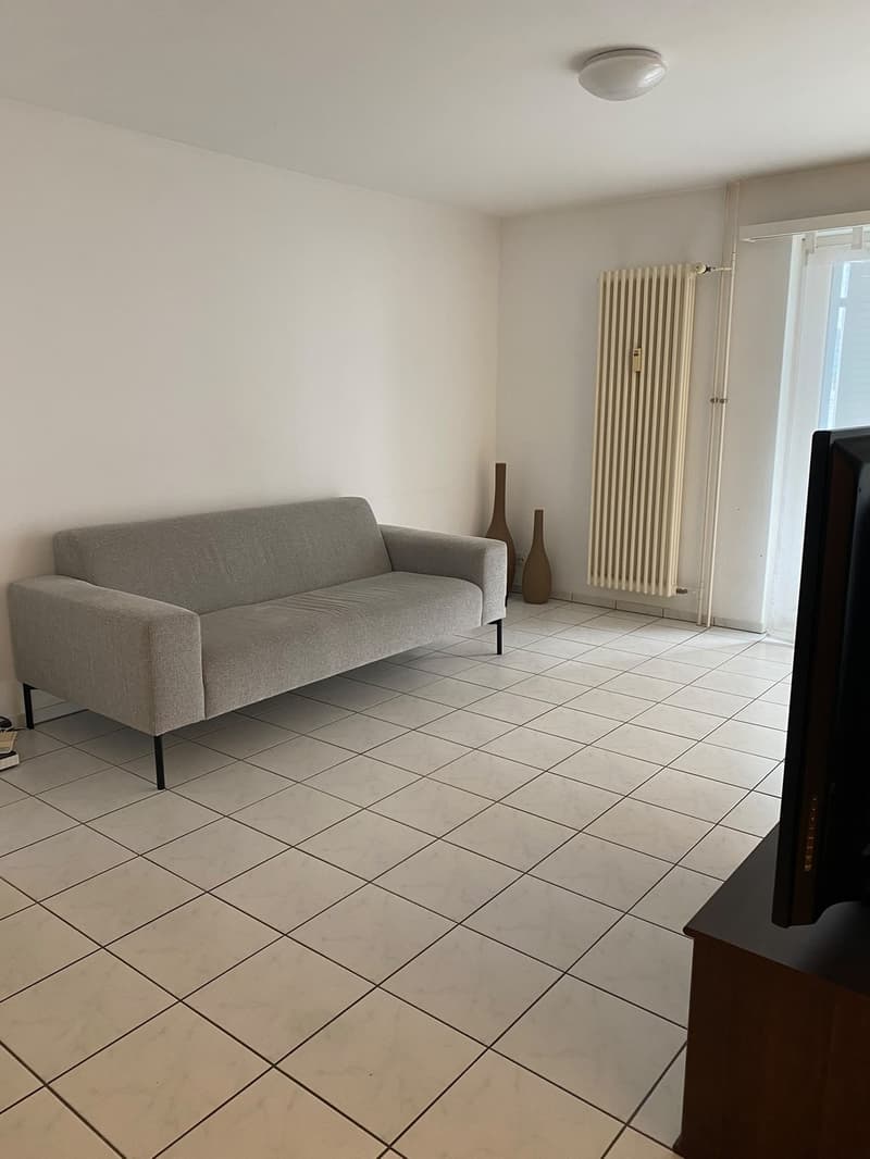 Helle 2-Zimmer-Wohnung mit Balkon direkt beim Bahnhof Emmenbrücke Kapf (1)