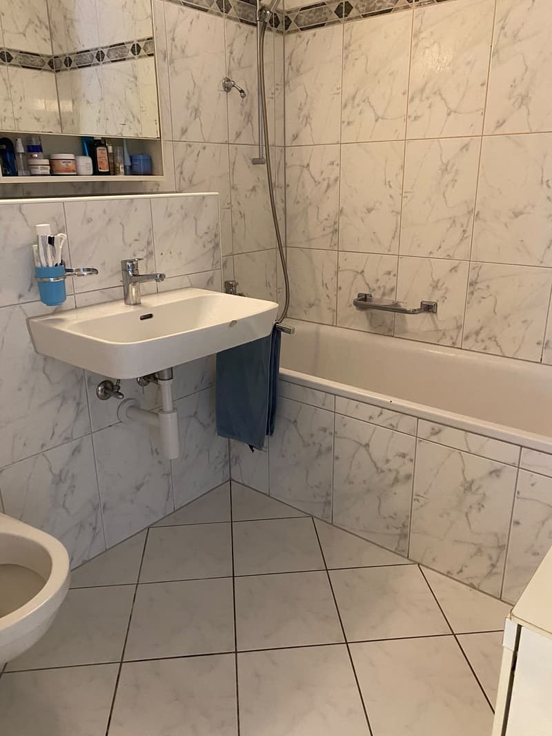 Helle 2-Zimmer-Wohnung mit Balkon direkt beim Bahnhof Emmenbrücke Kapf (5)