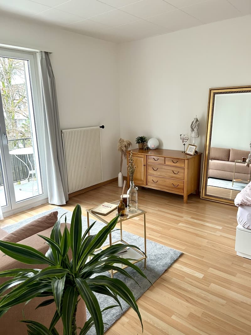 Schöne Wohnung in Albisrieden zu fairem Preis (1)