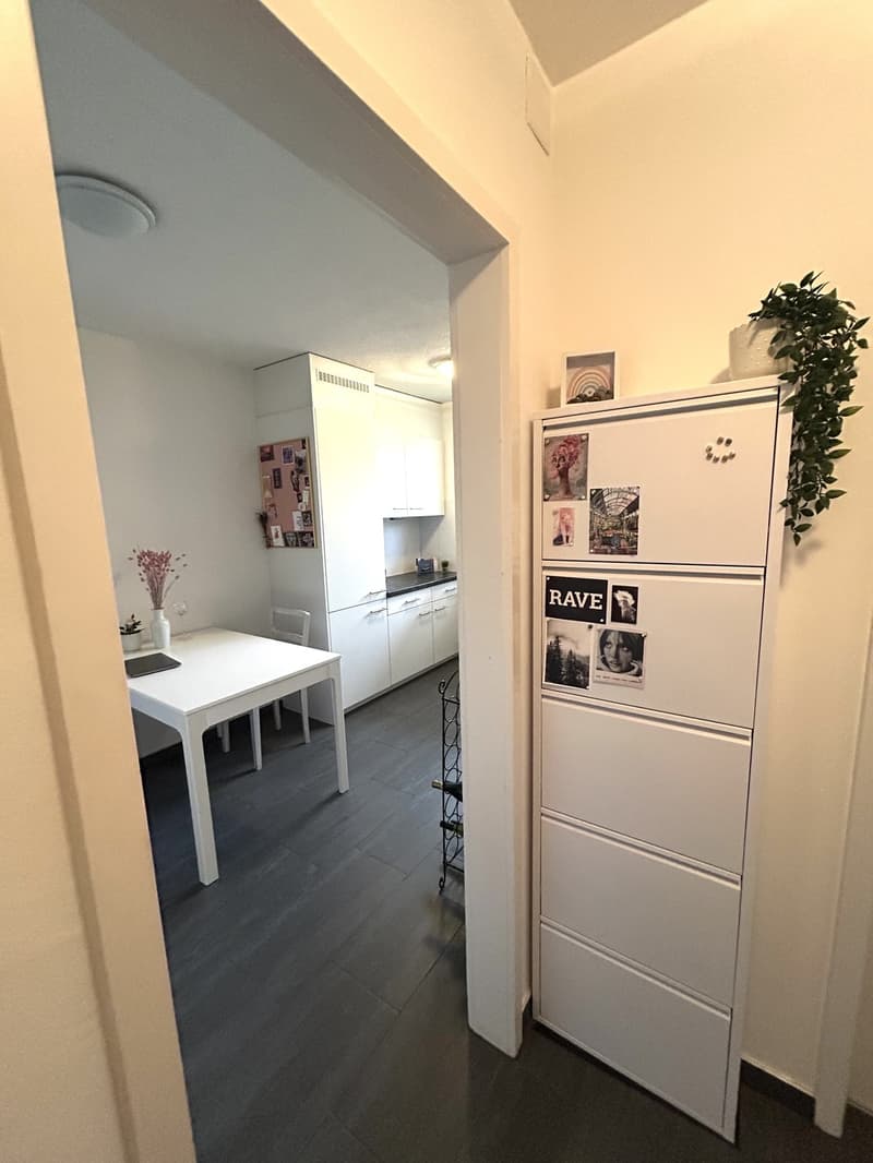 Schöne Wohnung in Albisrieden zu fairem Preis (3)