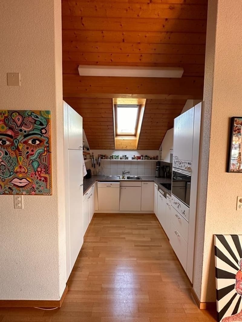Letten flat, 150 m2, 5.5 rooms - Looking for a new roommate! (6)