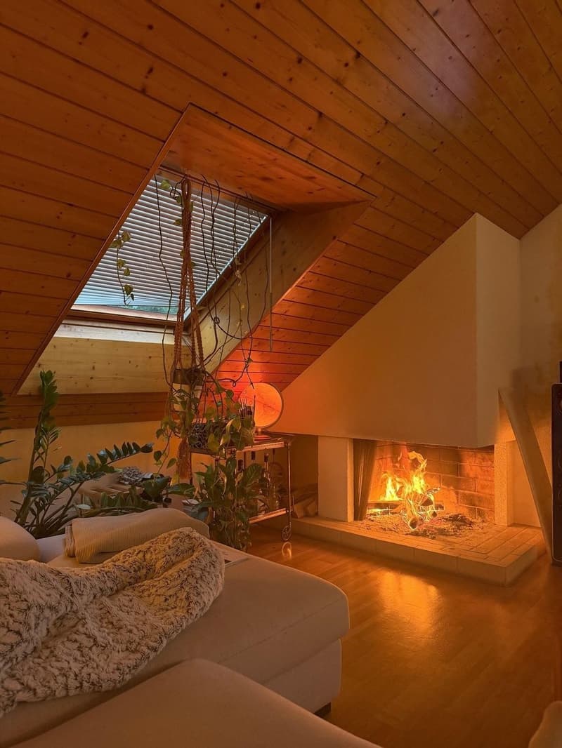 Letten flat, 150 m2, 5.5 rooms - Looking for a new roommate! (1)
