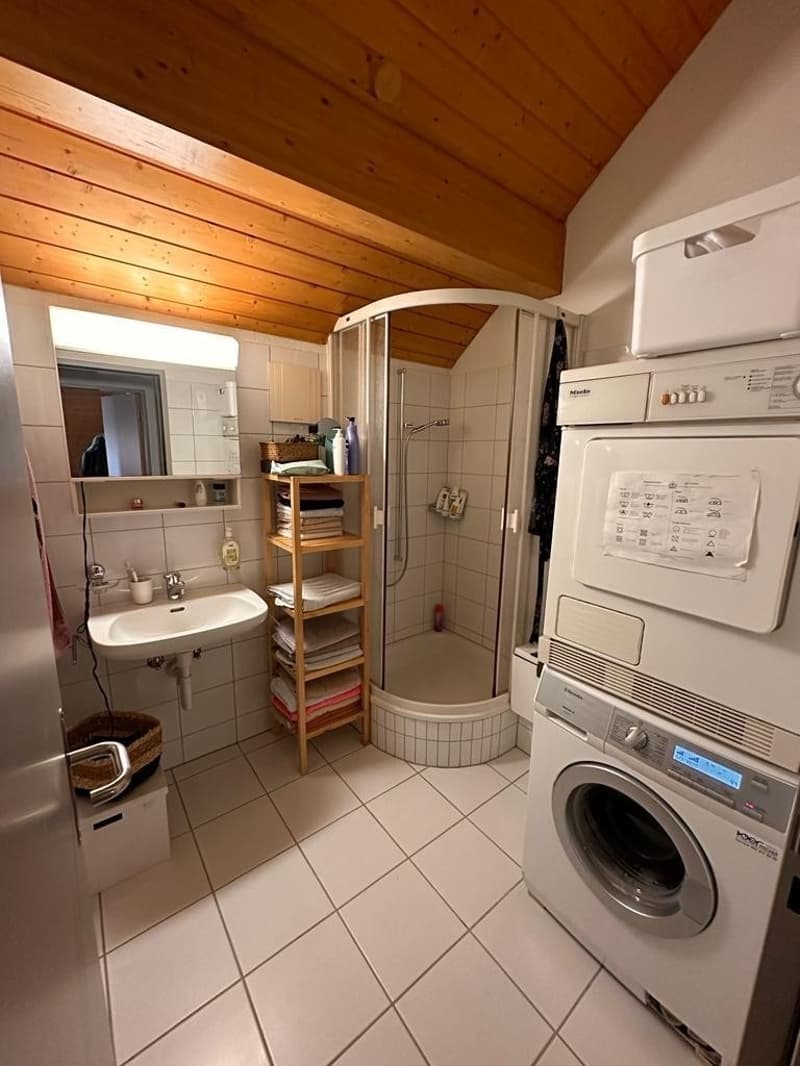 Letten flat, 150 m2, 5.5 rooms - Looking for a new roommate! (8)