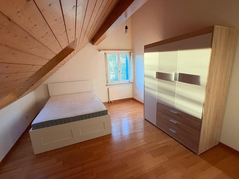 Letten flat, 150 m2, 5.5 rooms - Looking for a new roommate! (7)