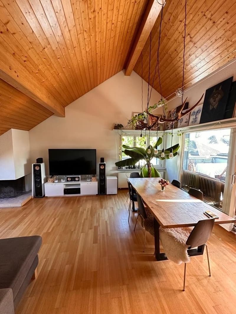 Letten flat, 150 m2, 5.5 rooms - Looking for a new roommate! (5)