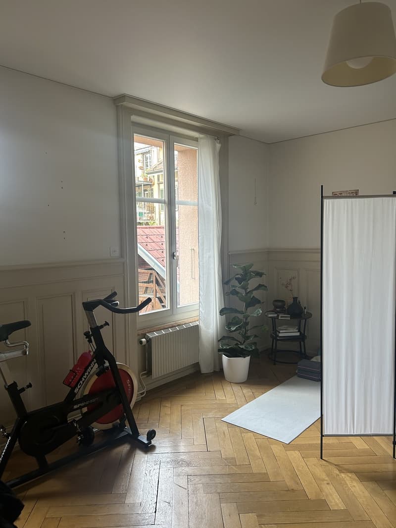 20qm WG-Zimmer an zentraler Lage für 2 Monate (3)
