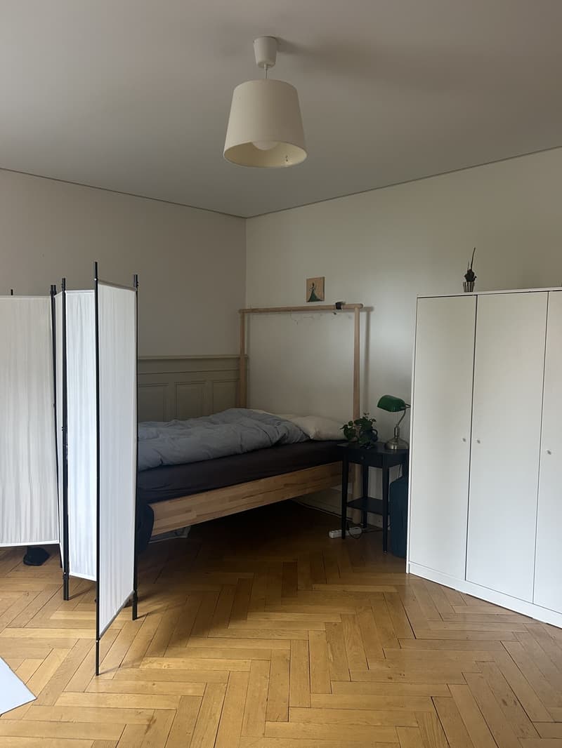 20qm WG-Zimmer an zentraler Lage für 2 Monate (5)