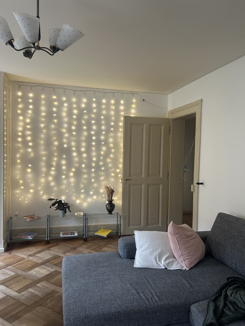 20qm WG-Zimmer an zentraler Lage für 2 Monate (2)