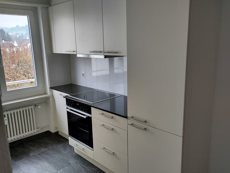 2 ½ Zimmer-Wohnung, 4410 Liestal (8)