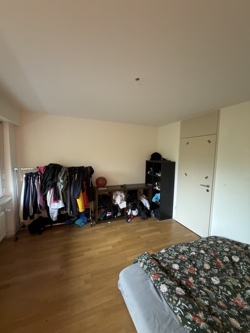 Wg Zimmer in Altstetten (6)