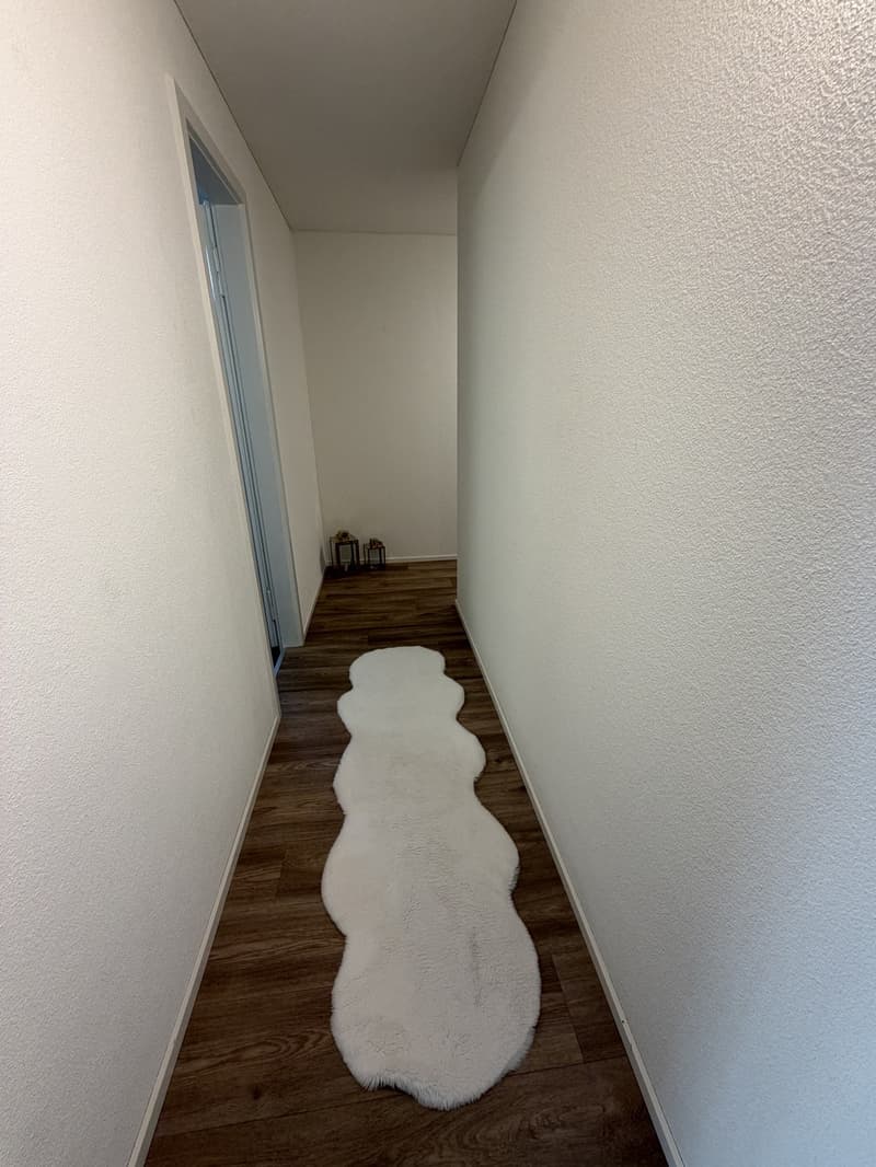 Schöne helle, 4- Zimmerwohnung zu Vermieten (12)