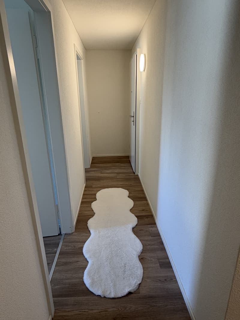 Schöne helle, 4- Zimmerwohnung zu Vermieten (9)