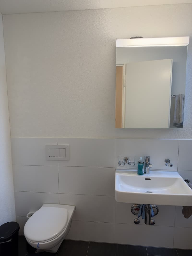 Schöne helle, 4- Zimmerwohnung zu Vermieten (8)