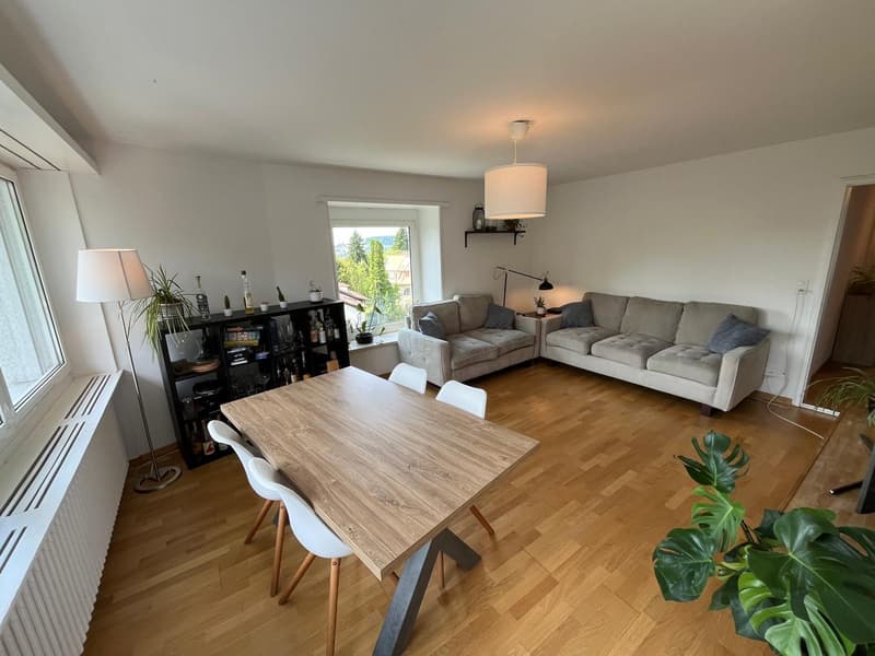 WG-Zimmer in Kreis 6 (2)