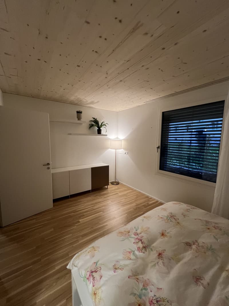 Grosszügiges neues WG-Zimmer an guter Lage (2)