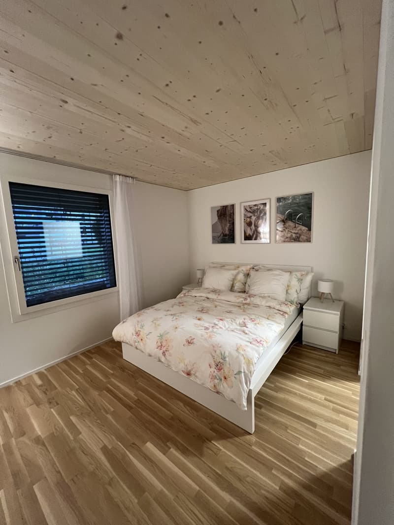 Grosszügiges neues WG-Zimmer an guter Lage (1)
