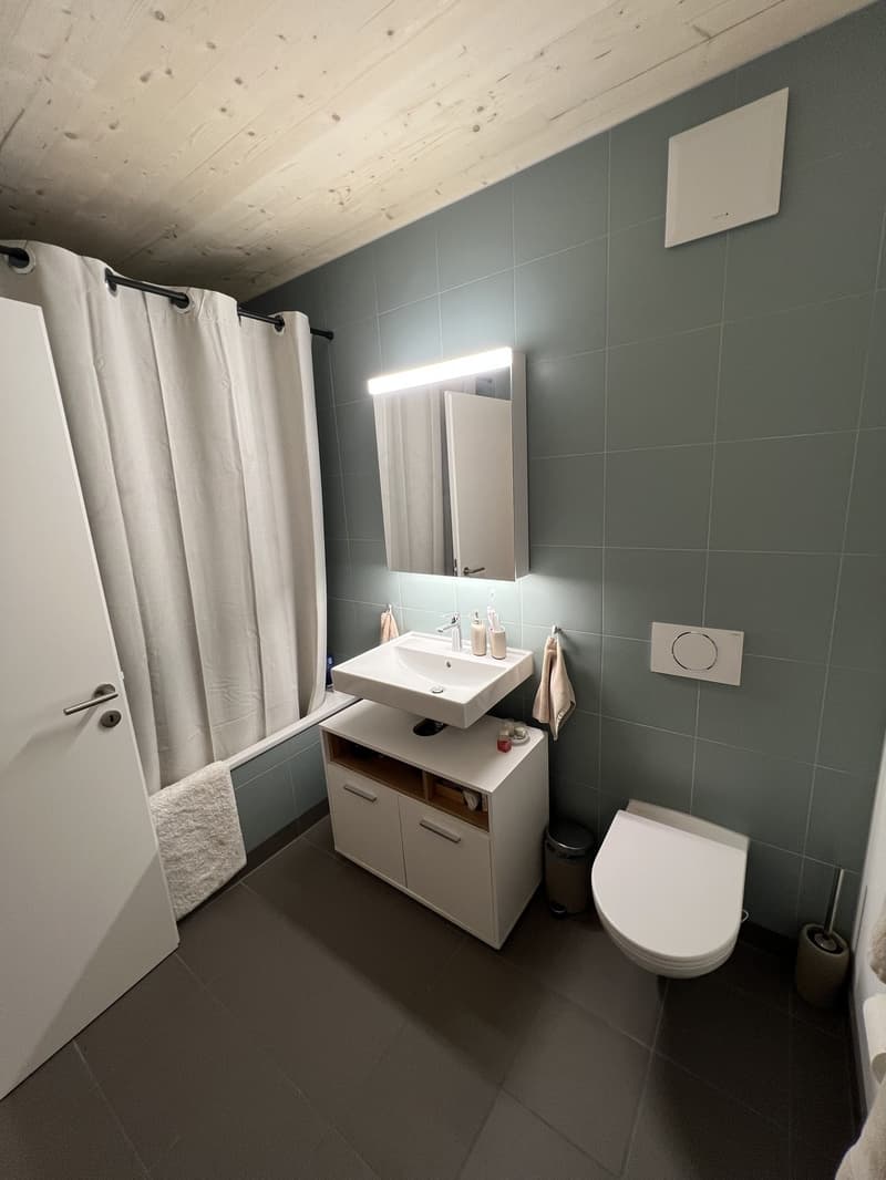 Grosszügiges neues WG-Zimmer an guter Lage (5)