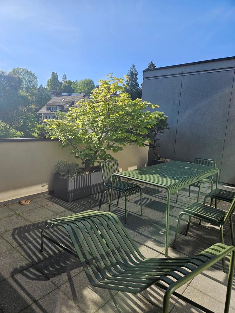 Large room by Lake Zürich (2)