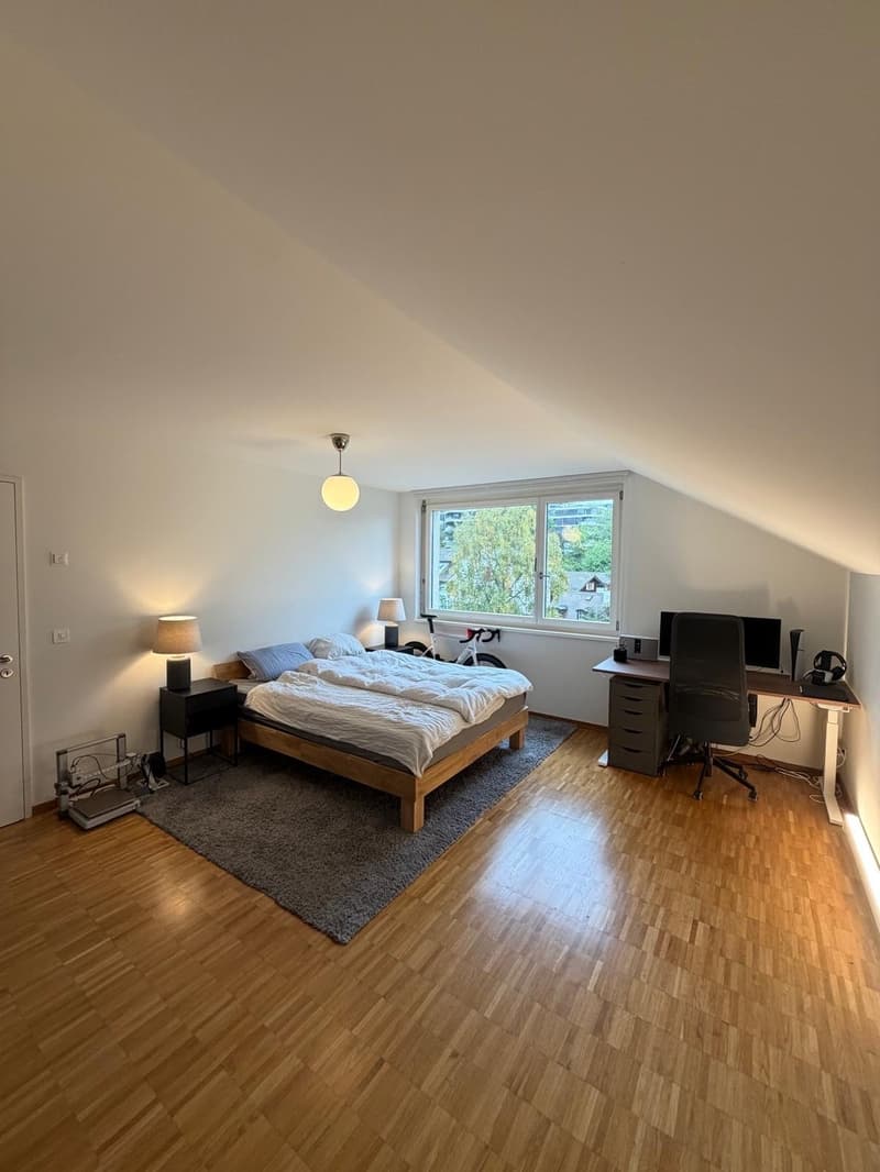 Large room by Lake Zürich (4)
